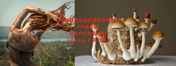 ALPHA PVP Кукмор